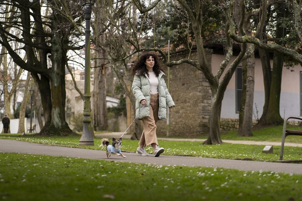 Dog-Friendly Downtown Walk