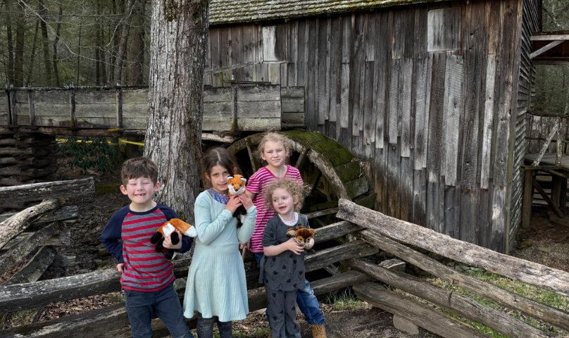 Smokies: Cades Cove Day Trip