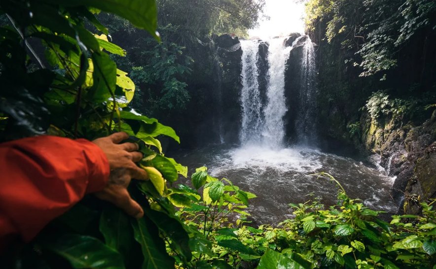 Smokies Waterfalls Day Trip