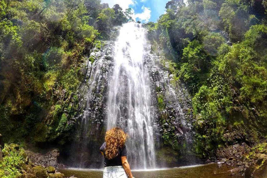 Smokies Waterfalls Day Trip