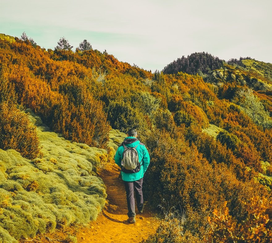 Clingmans Dome Sunrise Run