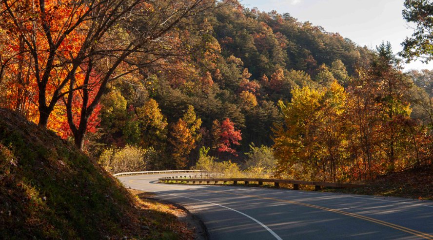 Foothills Parkway Fall Foliage hero