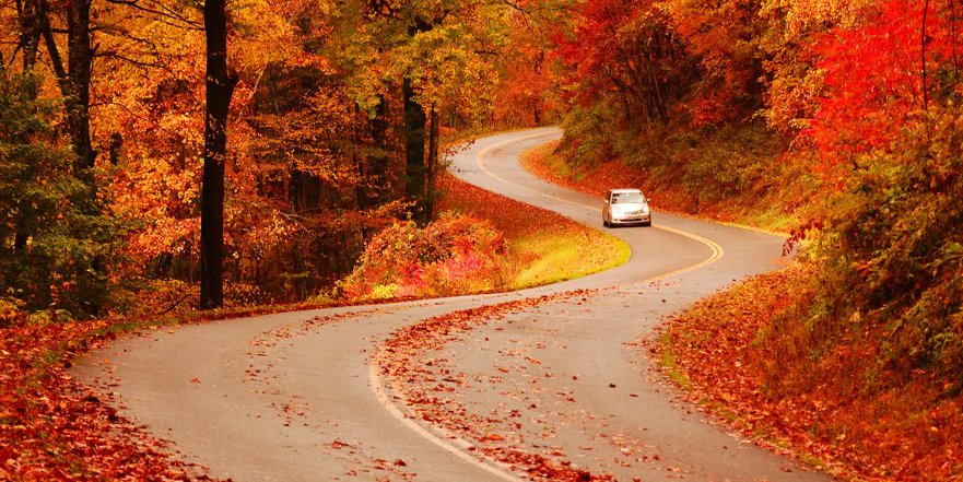 Foothills Parkway Fall Foliage