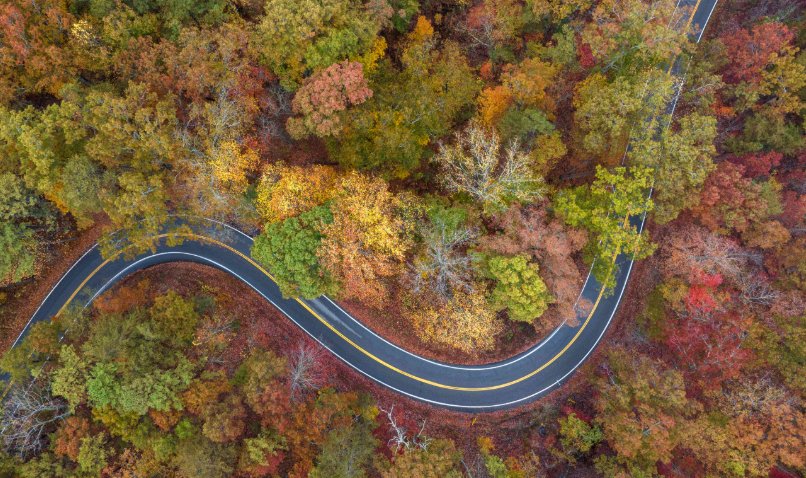 Foothills Parkway Fall Foliage