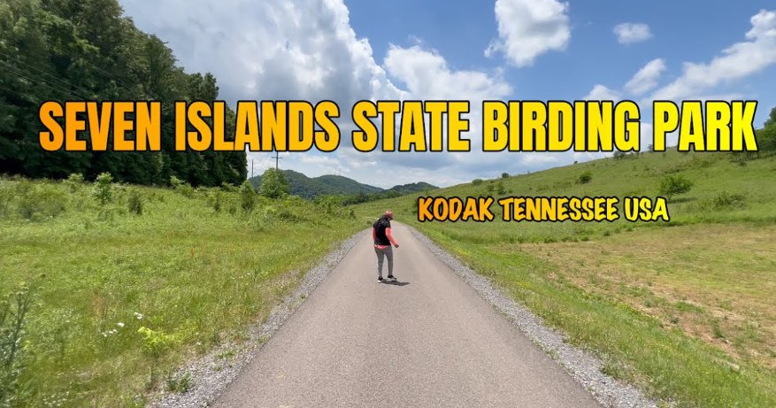 Seven Islands Birding Walk