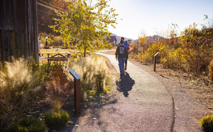 Seven Islands Birding Walk