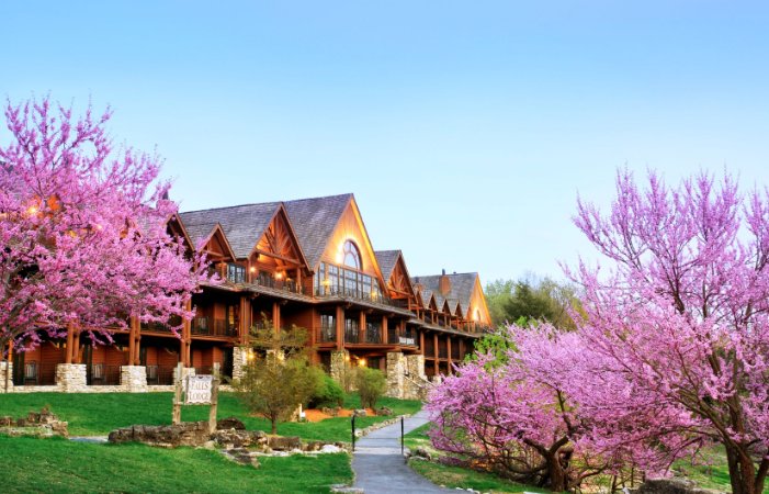 Dogwood Trails Spring Blooms (Seasonal)