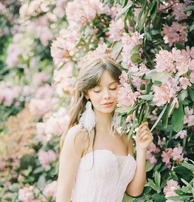 Dogwood Trails Spring Blooms (Seasonal)