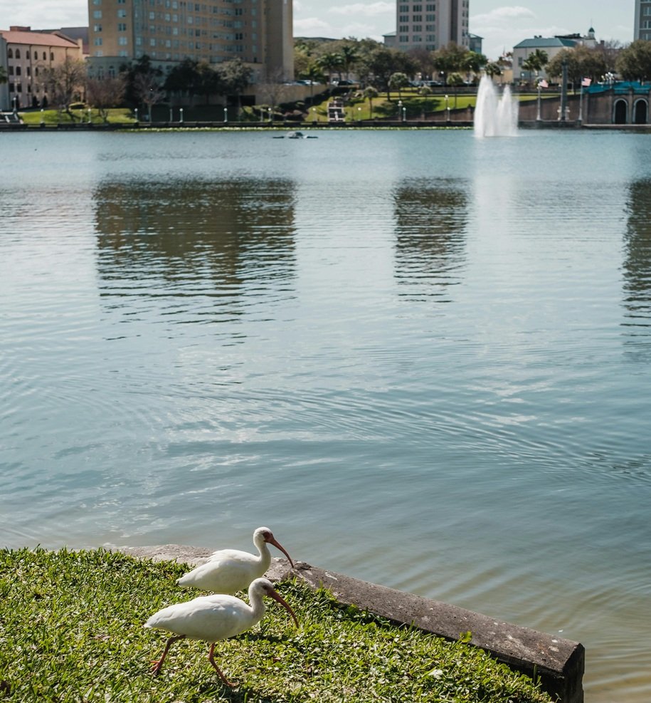 Fountain City Lake & Park Walk